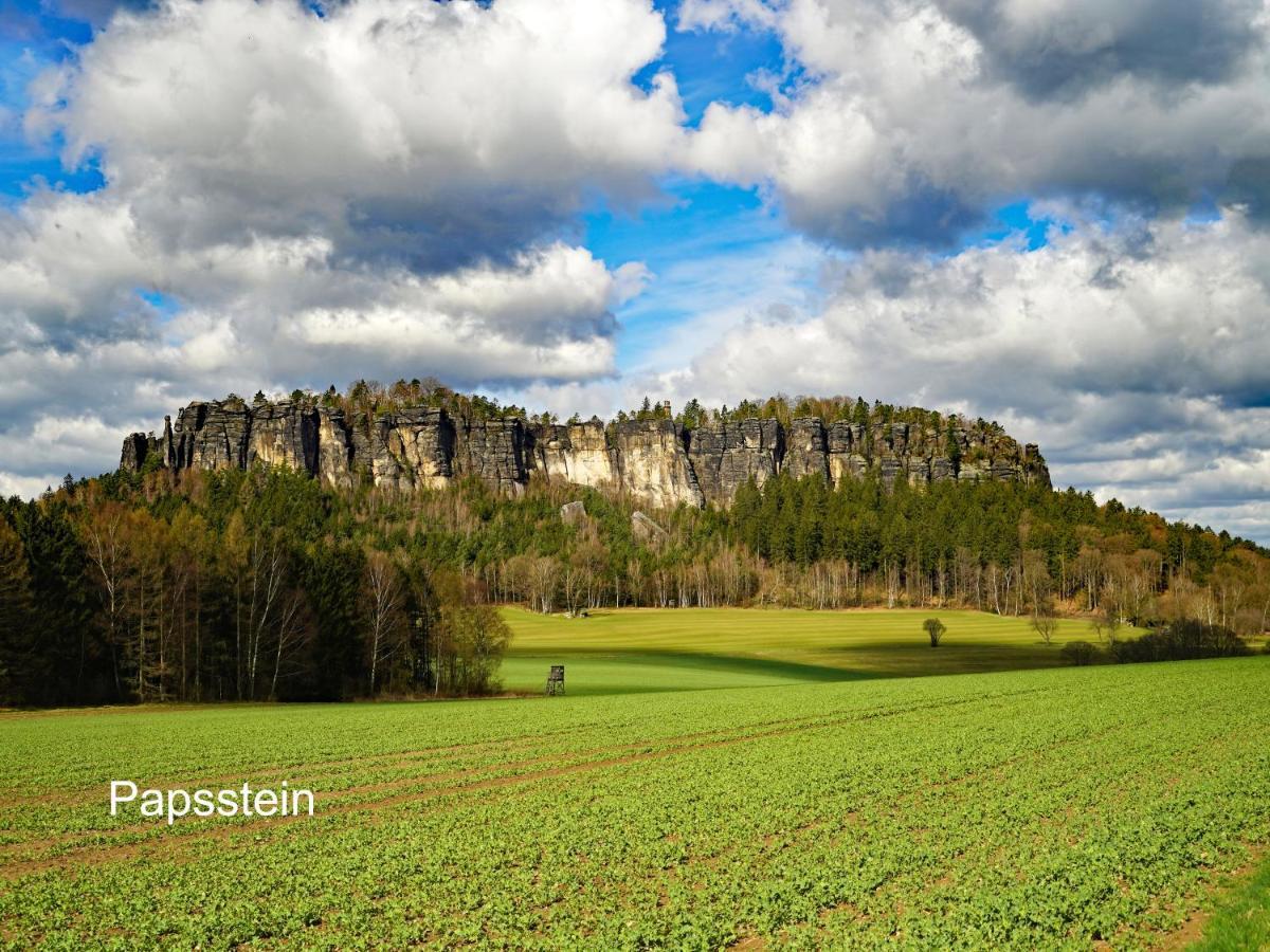 Ferienwohnung Fuessel Rathmannsdorf Bilik gambar